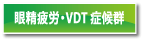 眼精疲労・VDT 症候群